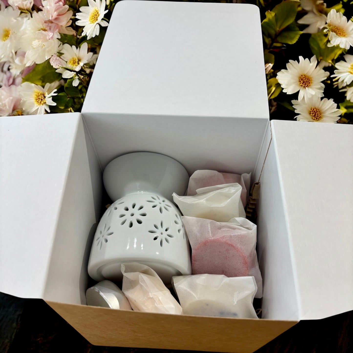 Wax Melt Burner & 5 Wax Melts