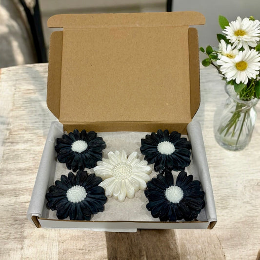 Wisdom - Daisy Shaped Wax Melts - Box of 5