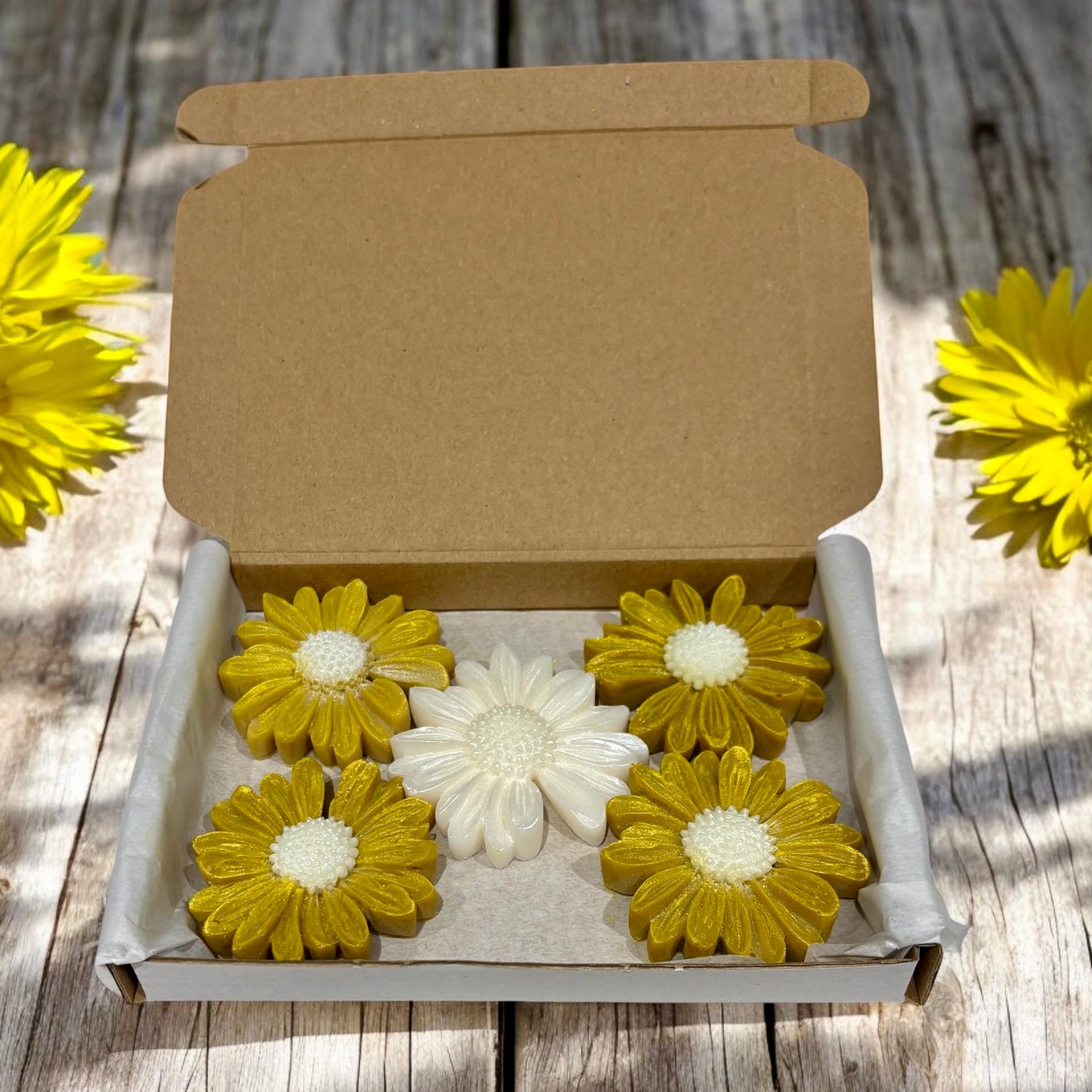 Empowerment - Daisy Shaped Wax Melts - Box of 5