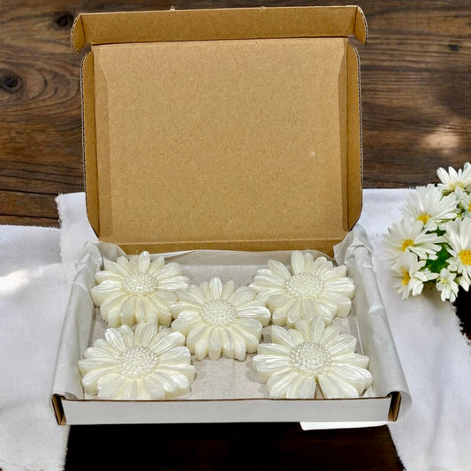 Spa Day - Daisy Shaped Wax Melts - Box of 5