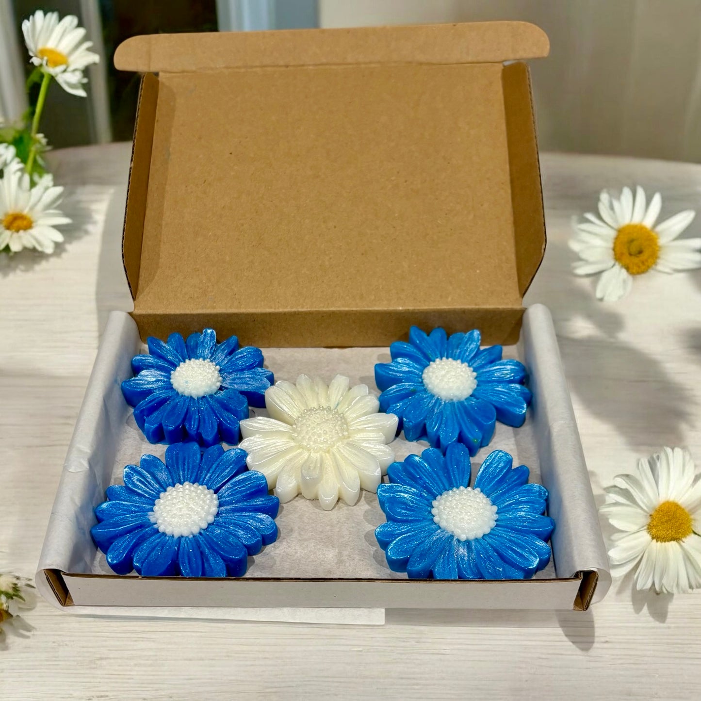 Truth - Daisy Shaped Wax Melts - Box of 5