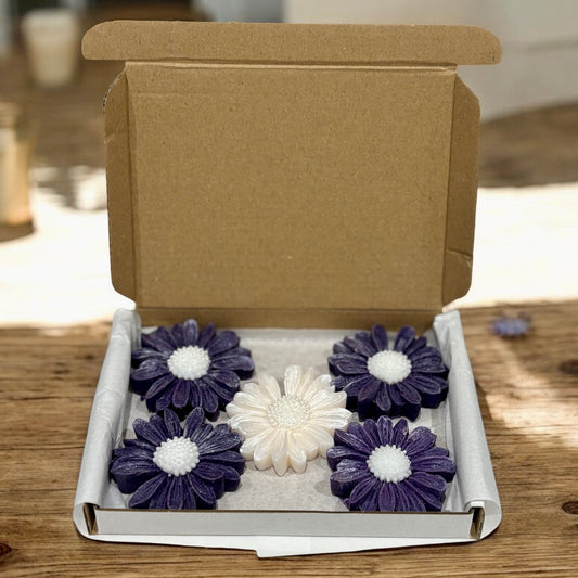 Vision - Daisy Shaped Wax Melts - Box of 5