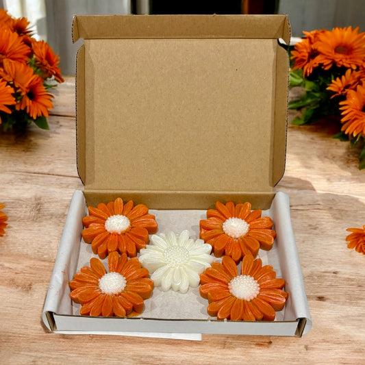 Inspiration - Daisy Shaped Wax Melts - Box of 5